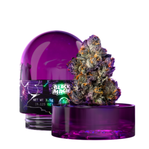 Wizard Trees: Black Magic