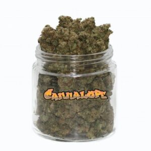 Cannalope Haze